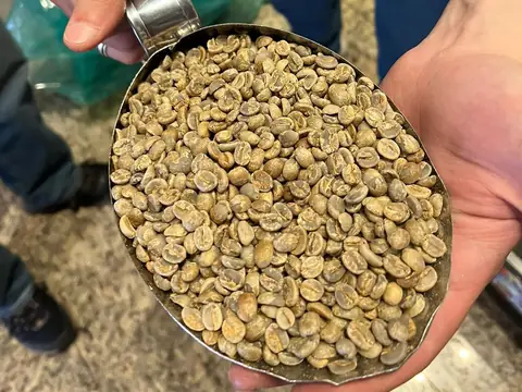 Café verde numa concha de metal, nas mãos de quem mostra o produto